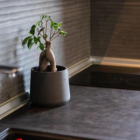 Aegli Central Luxury Apartment Αλεξανδρούπολη Εξωτερικό φωτογραφία